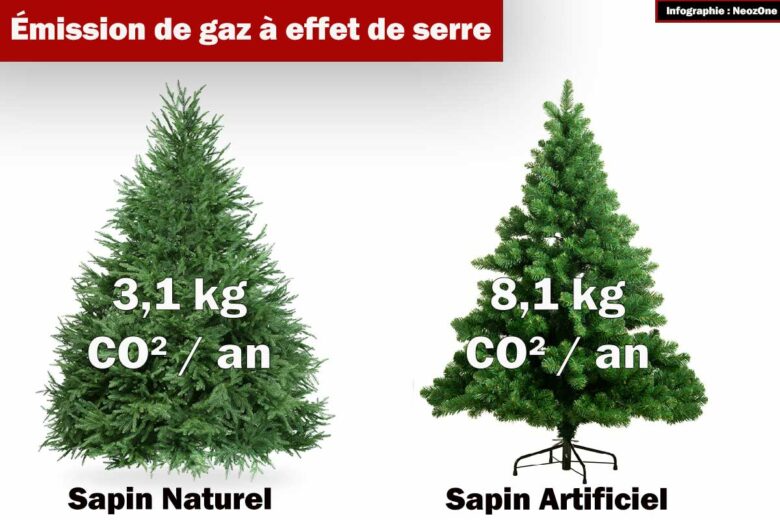 Sapin naturel vs sapin artificiel.
