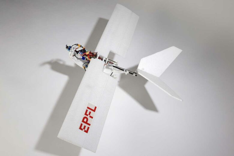 Un drone inspiré des oiseaux.