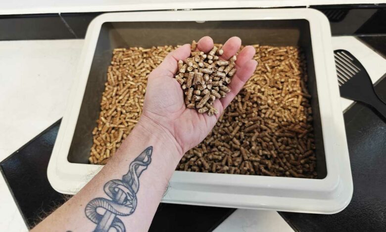 Des pellets à la place de la litière pour chat.