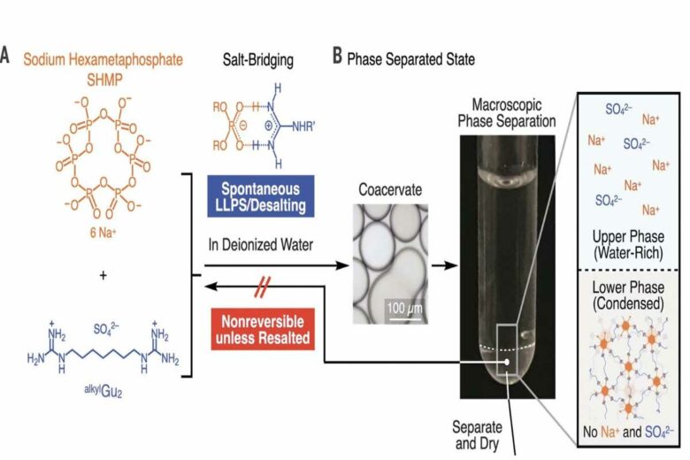 Processus physico-chimique de décomposition du plastique inventé par RIKEN.