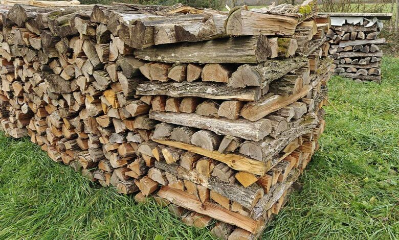 Un tas de bois de chauffage.