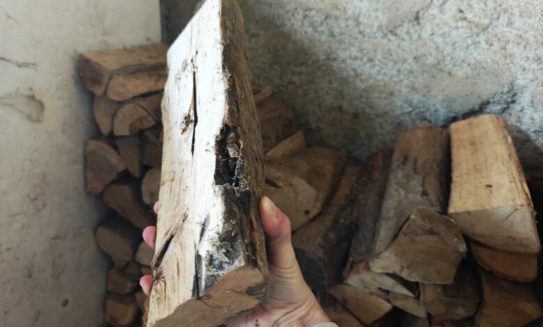 Un homme tient une buche de bois.