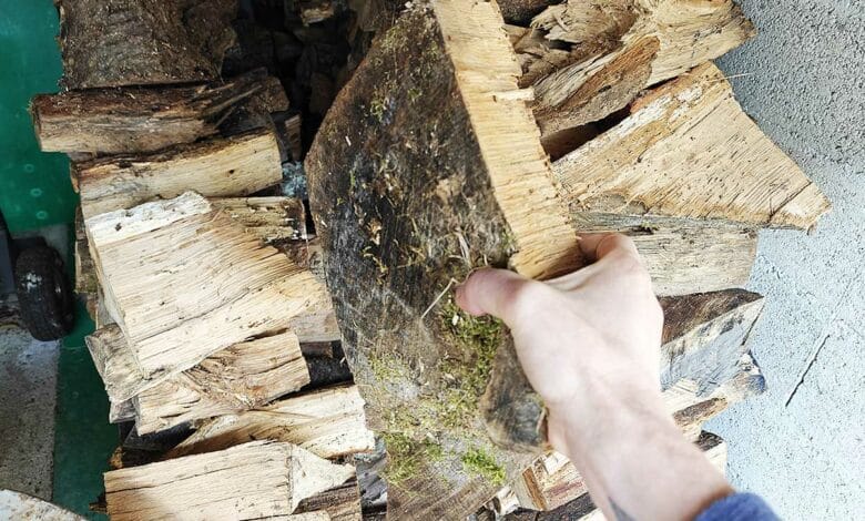 Un homme tient une buche dans sa main.