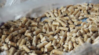 Des pellets de bois pour le chauffage.