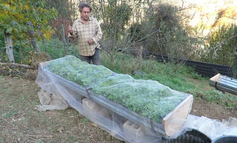 Une jardinière surélevée pour faire ses plantations.