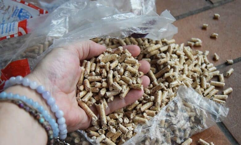 Une main qui tient des pellets de bois.