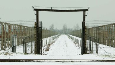 Un portail bardé de barbelés du camp d'Auschwitz.