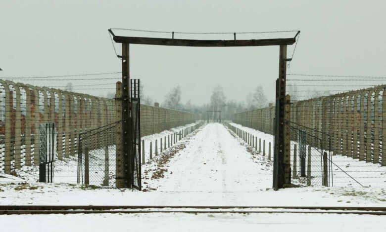 Un portail bardé de barbelés du camp d'Auschwitz.