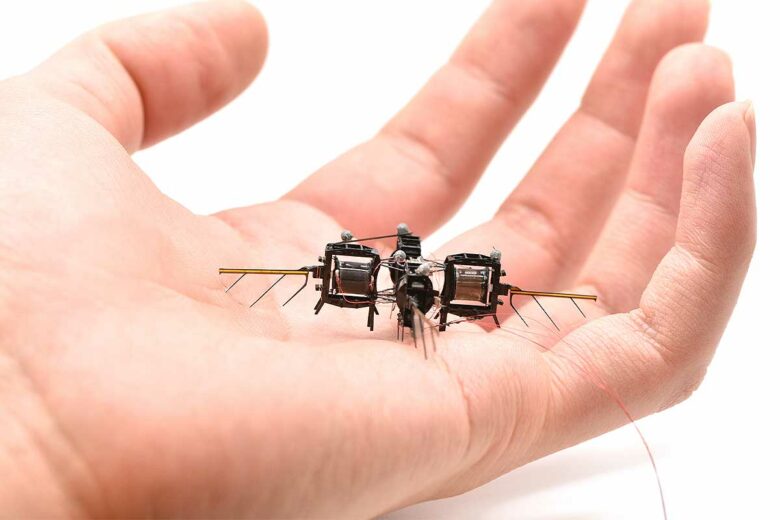 Des robots biomimétiques ressemblant à des abeilles.