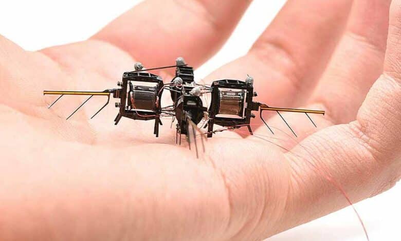 Des robots biomimétiques ressemblant à des abeilles.