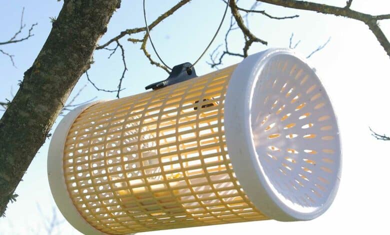 Un piège Gard'Apis installé dans un arbre.