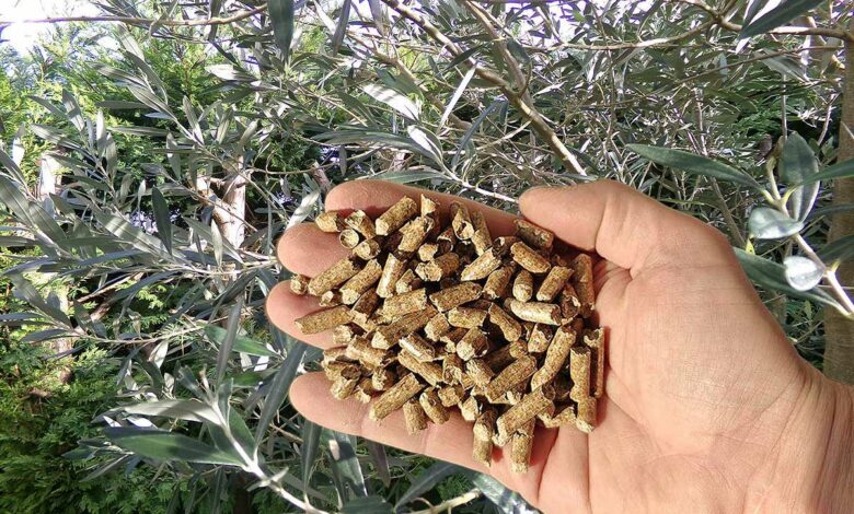 Des pellets d'olivier pour le chauffage.