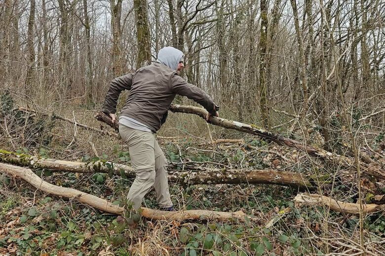 Un homme ramasse du bois en forêt.