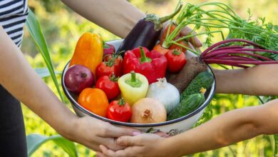 Un panier de légumes tenu par un adulte et un enfant.