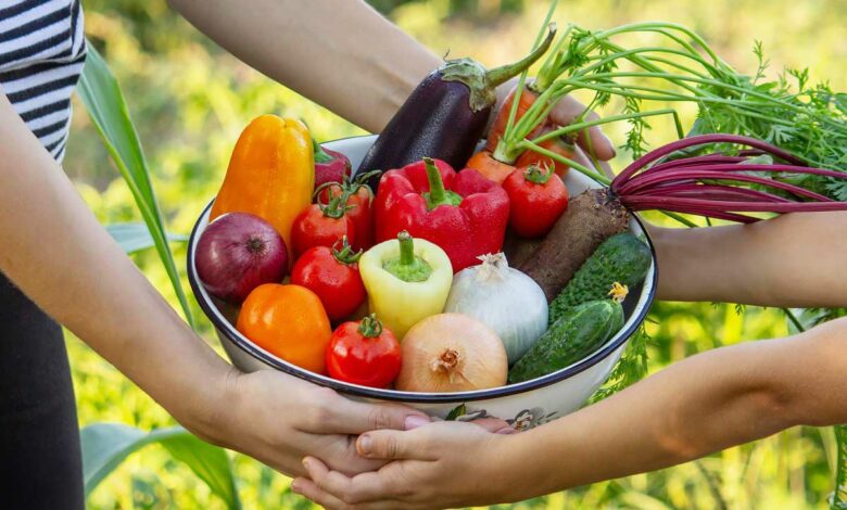 Un panier de légumes tenu par un adulte et un enfant.