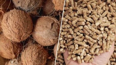 Noix de coco et pellets.