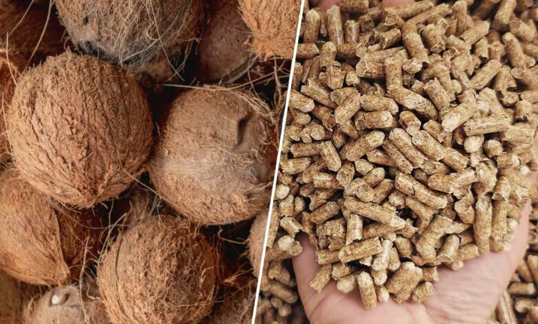 Noix de coco et pellets.