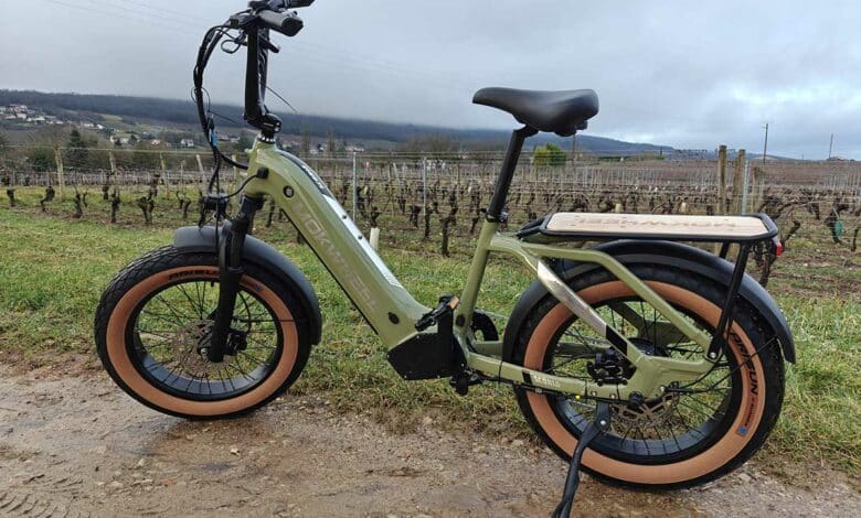 Le vélo électrique Mokwheel Scoria 2.