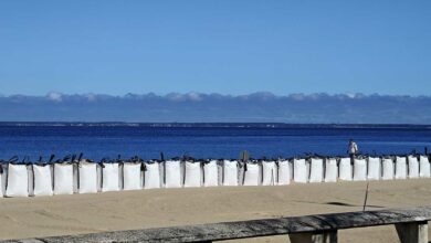 Des sacs de sable sur une plage pour limiter la montée des eaux.