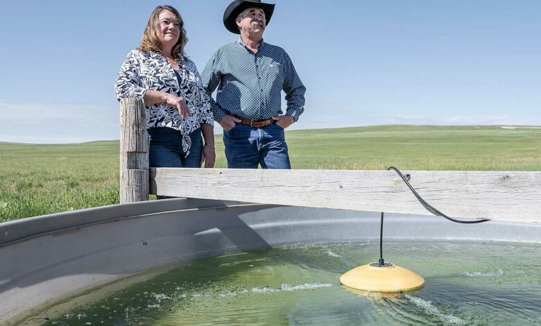 Le couple Otwell devant un abreuvoir équipé du Water Rippler.