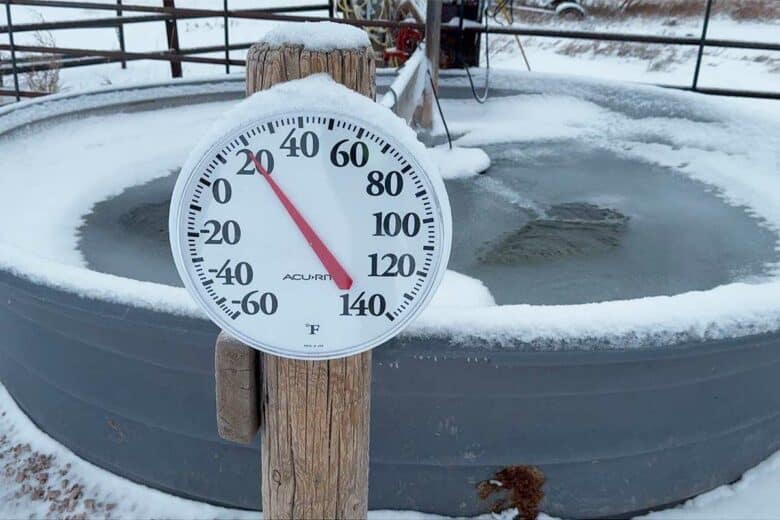 Un abreuvoir dont l'eau ne gèle pas.