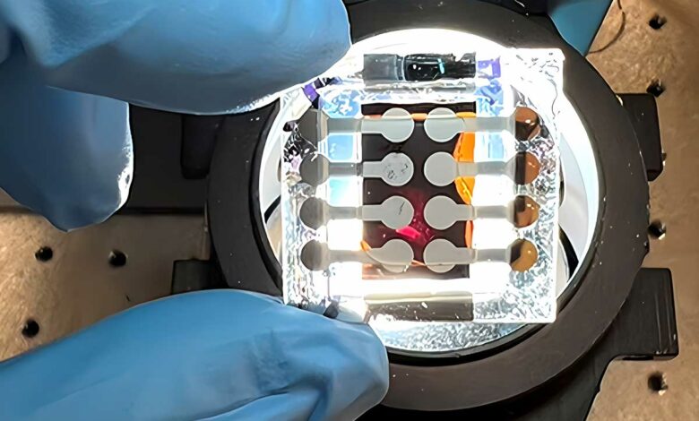 Une cellule photovoltaïque.