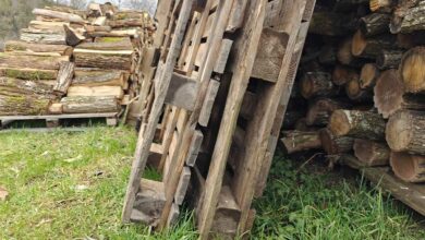 Toutes les palettes de transport ne peuvent pas être utilisées comme bois de chauffage ?