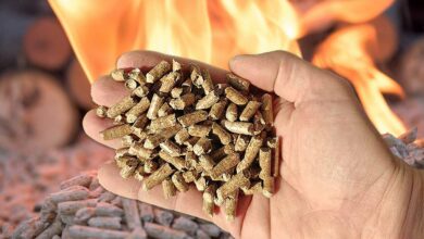 Une main tenant des pellets devant du feu.