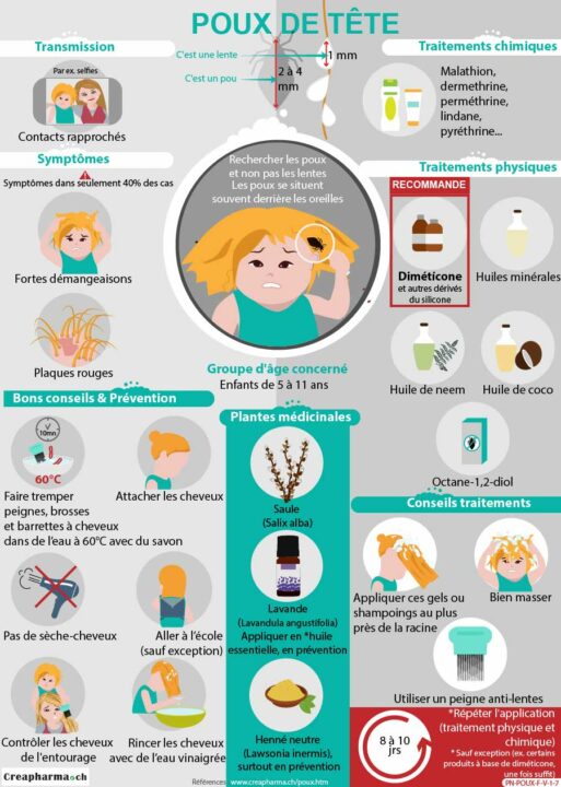 Infographie sur les poux de Creapharma.ch