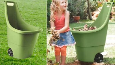 Un chariot pour le jardin.