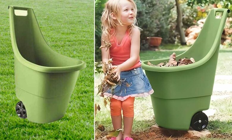 Un chariot pour le jardin.