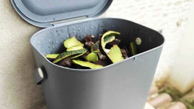 Un bac à compost domestique.