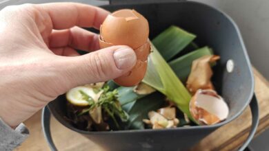 Une personne dépose des déchets alimentaires au compost.