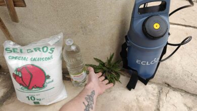 Des astuces naturelles pour dire adieu aux mauvaises herbes.