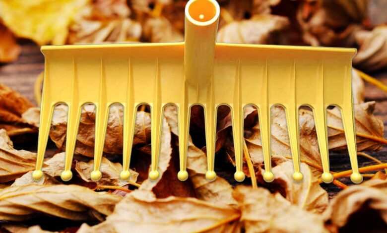 Un râteau innovant pour le jardin.