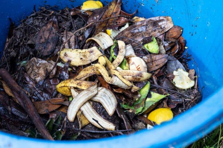 Un bac de compost avec des peaux de bananes.