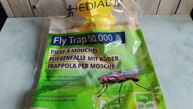Le piège à mouche Edialux.