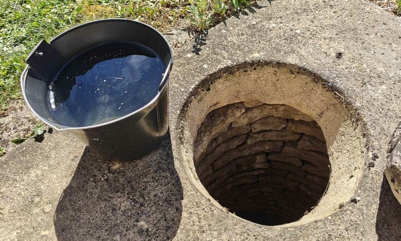 Un seau d'eau sorti d'un puits.