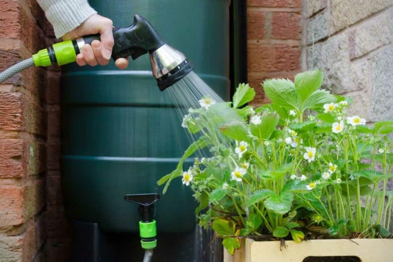 Une personne arrose ses fleurs avec l'eau du récupérateur.