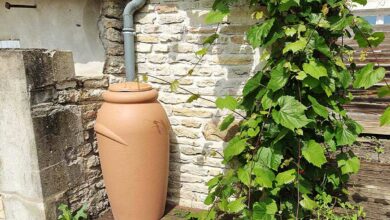 Un récupérateur d'eau raccordé à une gouttière.