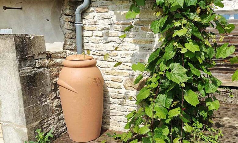 Un récupérateur d'eau raccordé à une gouttière.