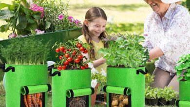 Une grand-mère et sa petite fille cultivent des plantes en sacs.