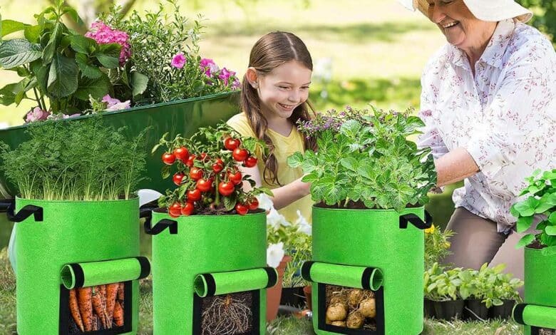 Une grand-mère et sa petite fille cultivent des plantes en sacs.