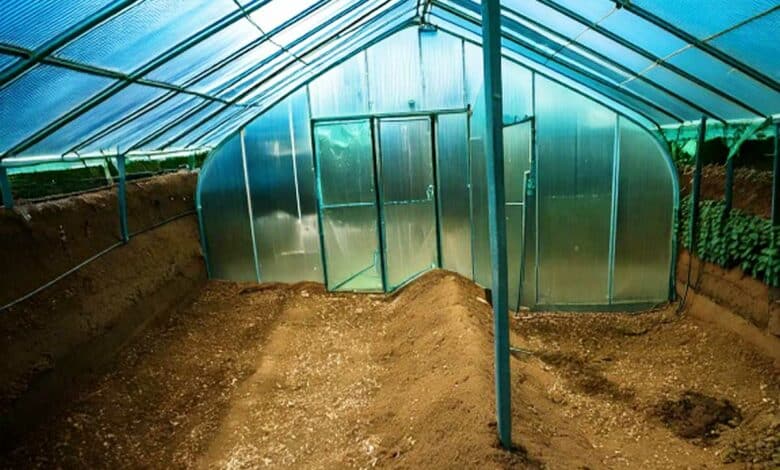 Intérieur d'une serre Walipini sous le niveau du sol.