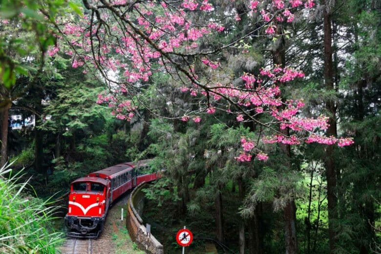 Un train sur une voie ferrée fleurie.