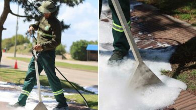 Un agent municipal désherbe avec le Foamstream.