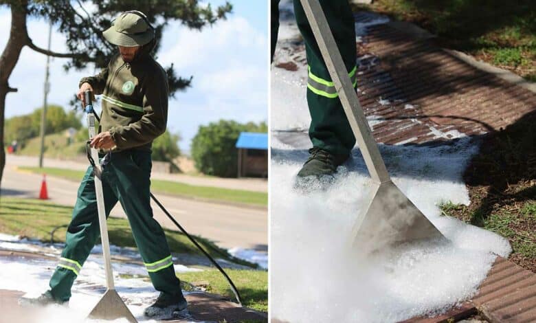 Un agent municipal désherbe avec le Foamstream.