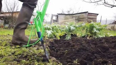 Un outil de jardinage.
