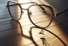 Une paire de lunettes et un moustique.