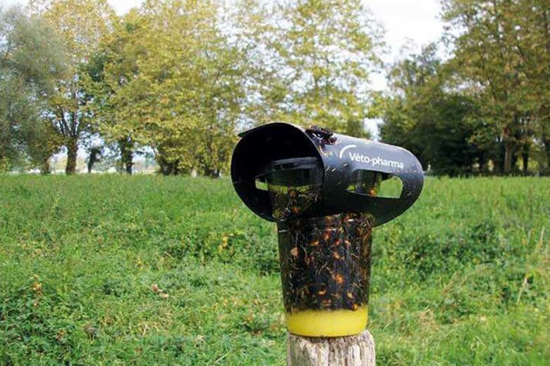 Le piège VespaCatch.